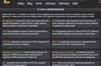 Возможности сервиса check-host.