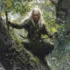 Норд (Nord)